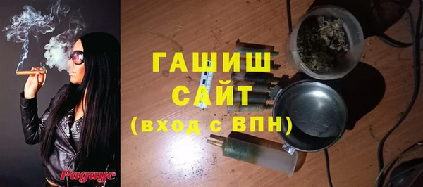 стафф Алексин