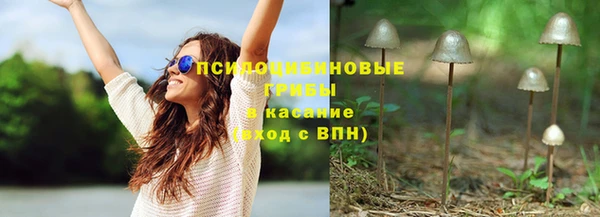 стафф Алексин