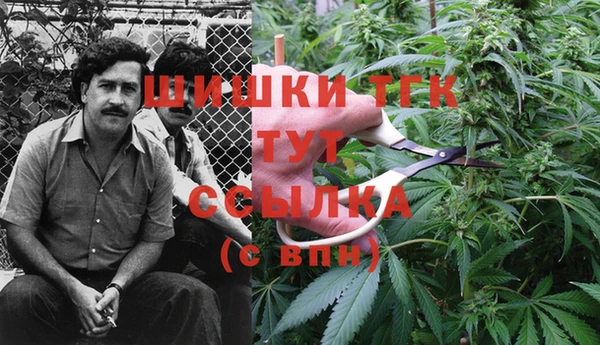 гидра Алзамай