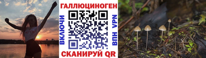 ОМГ ОМГ зеркало  Щигры  Галлюциногенные грибы GOLDEN TEACHER  купить  